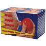 Nipple-Pump - 170077 - Increase your sensitivity and let your nipples bloom like buds in spring. Put the plastic cylinde...